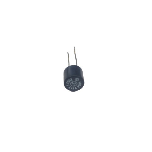 3.15Amp 250V Box Type Fuse Fast Blow image 1
