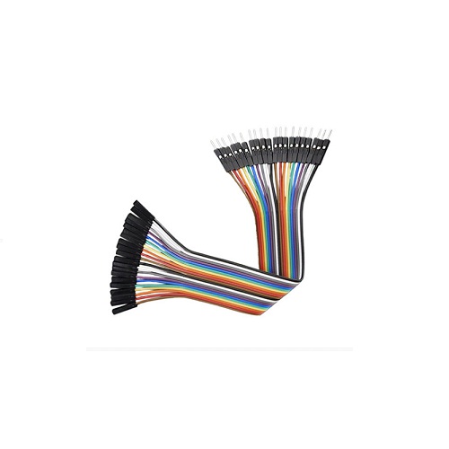 Male to Female Jumper Wire 40 Pin Ribbon Cable – 20cm Length image 1