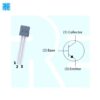 BC238 General Purpose Amplifier NPN-TO 92 Transistor - Image 3